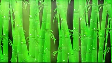 动态三维竹子竹林背景素材视频的预览图